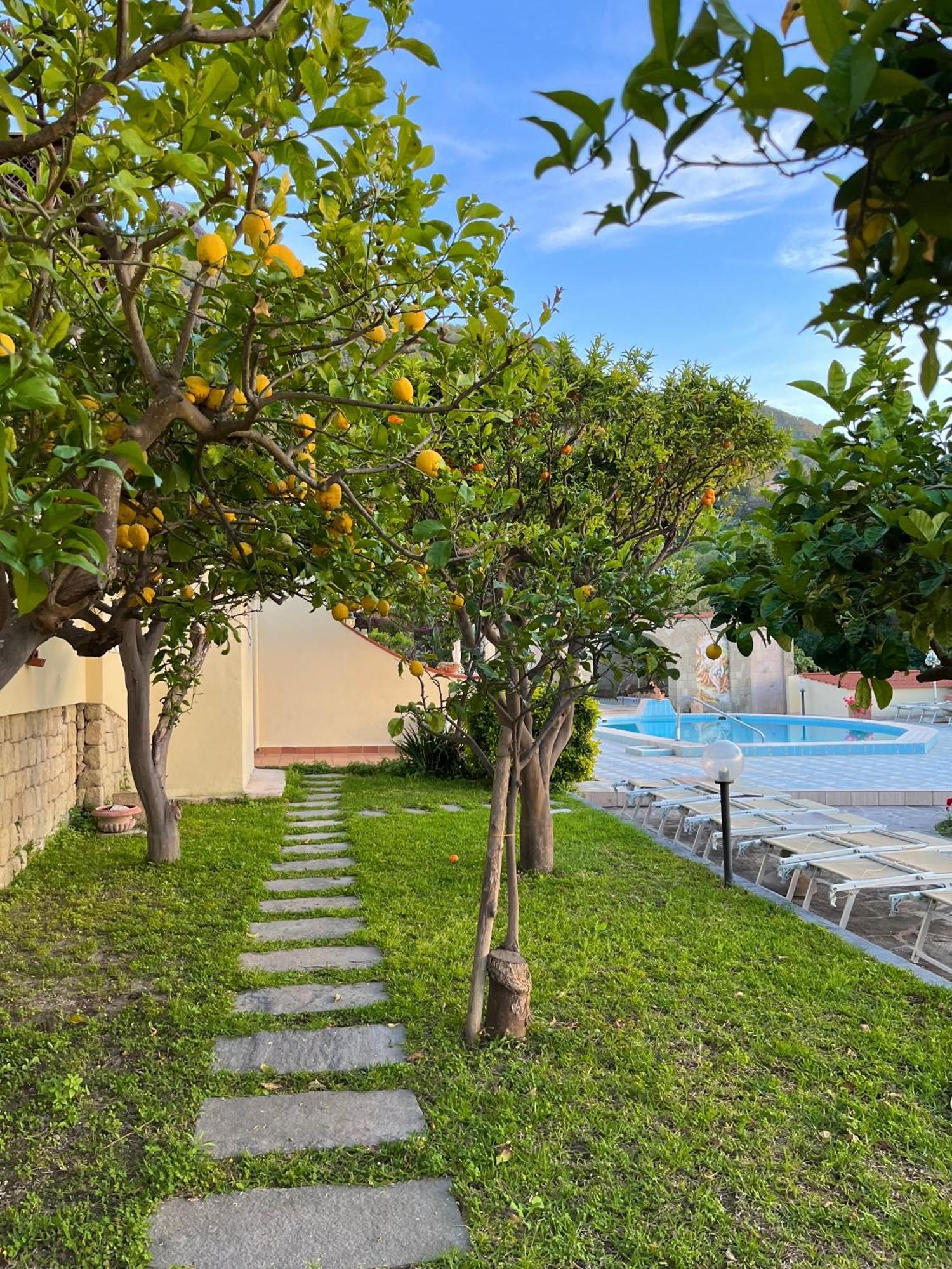 Resort Villa Flavio Casamicciola Terme Eksteriør bilde