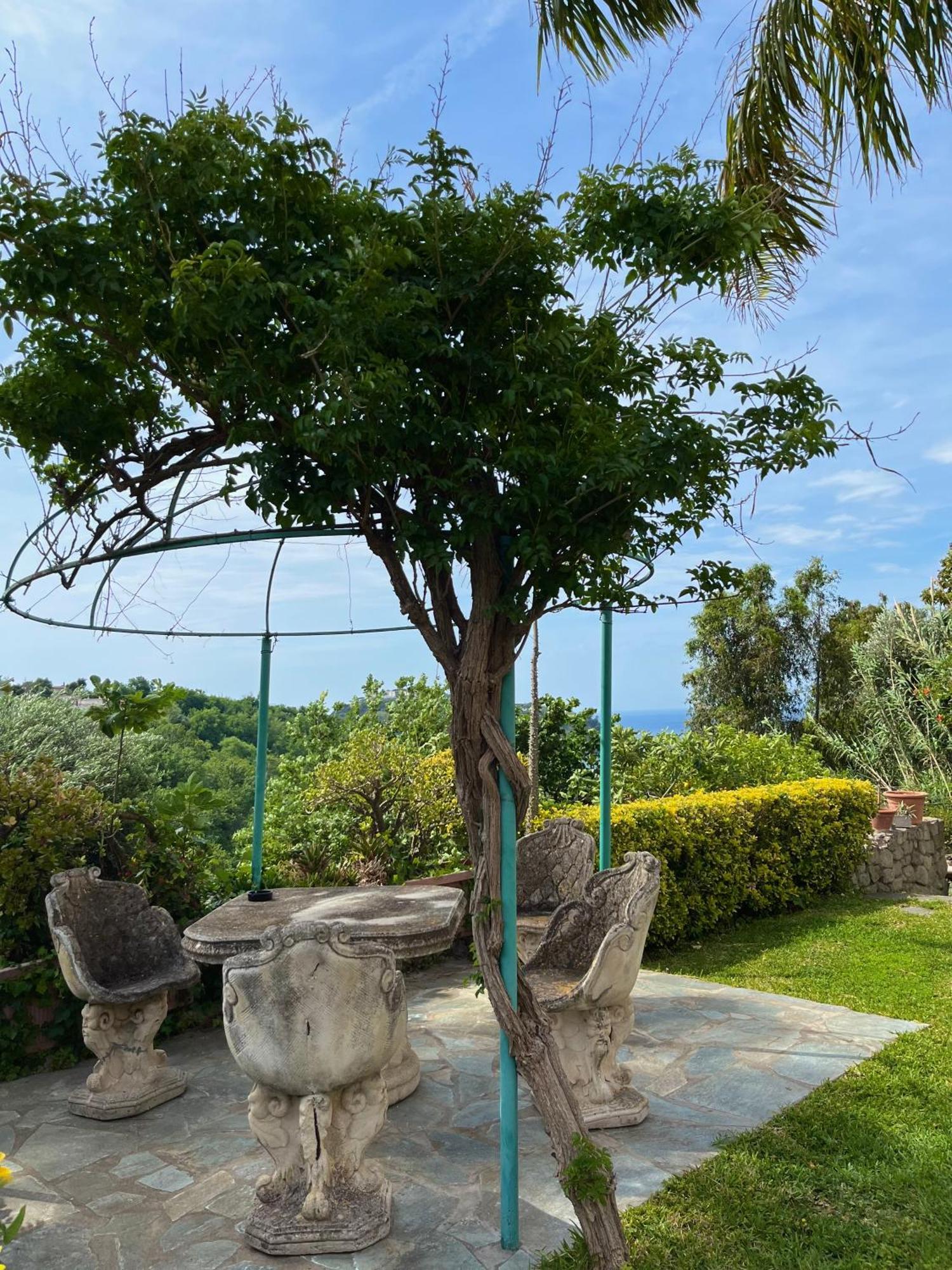 Resort Villa Flavio Casamicciola Terme Eksteriør bilde