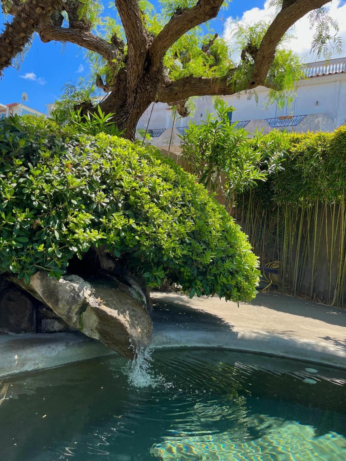 Resort Villa Flavio Casamicciola Terme Eksteriør bilde