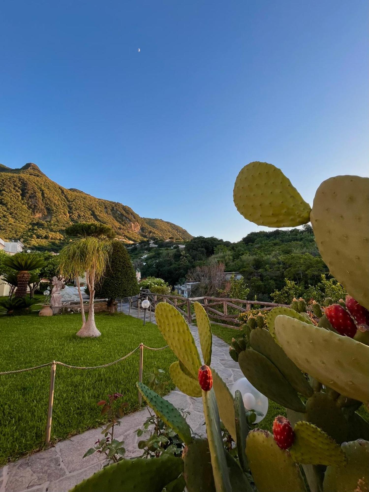 Resort Villa Flavio Casamicciola Terme Eksteriør bilde