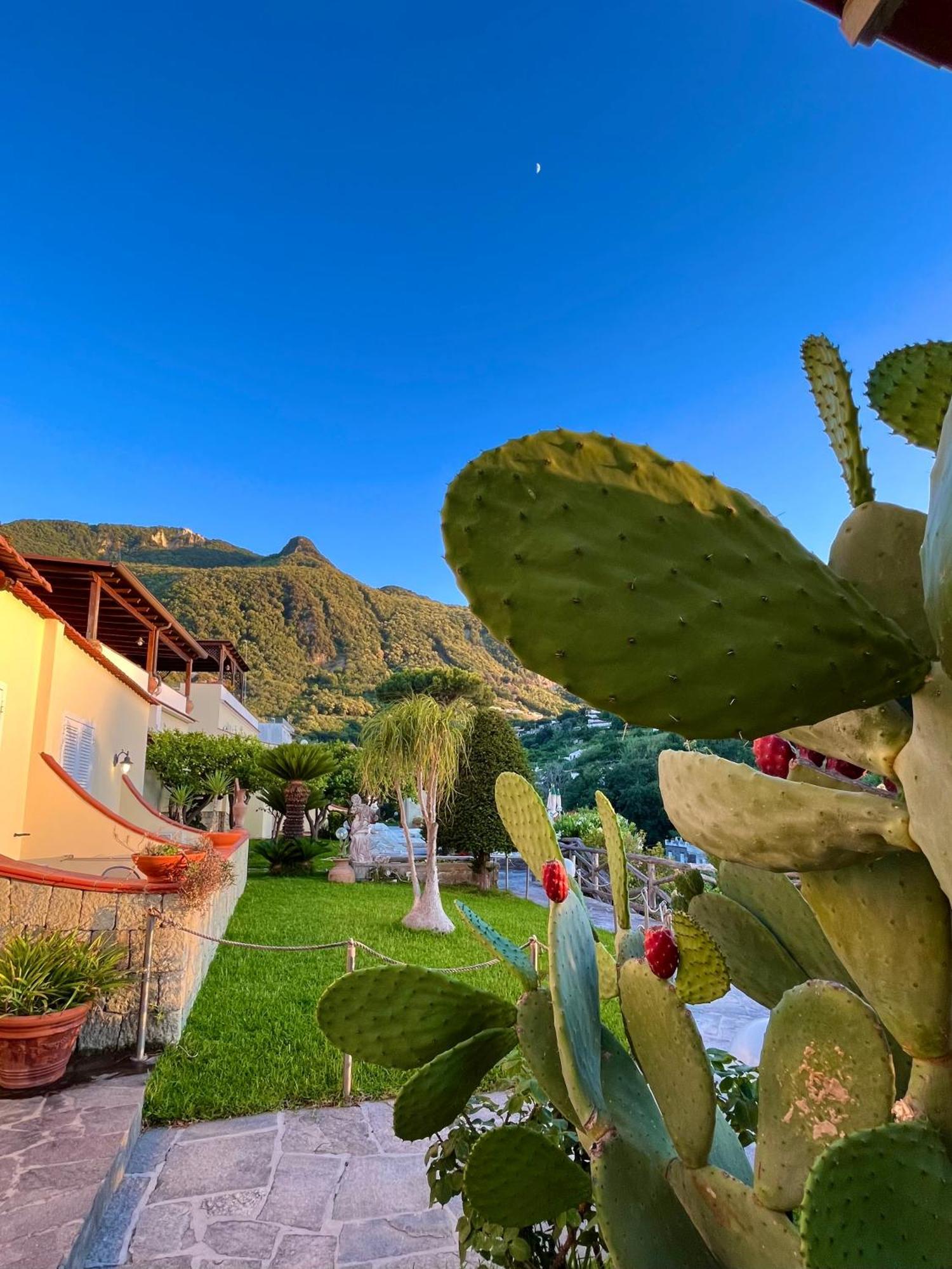 Resort Villa Flavio Casamicciola Terme Eksteriør bilde