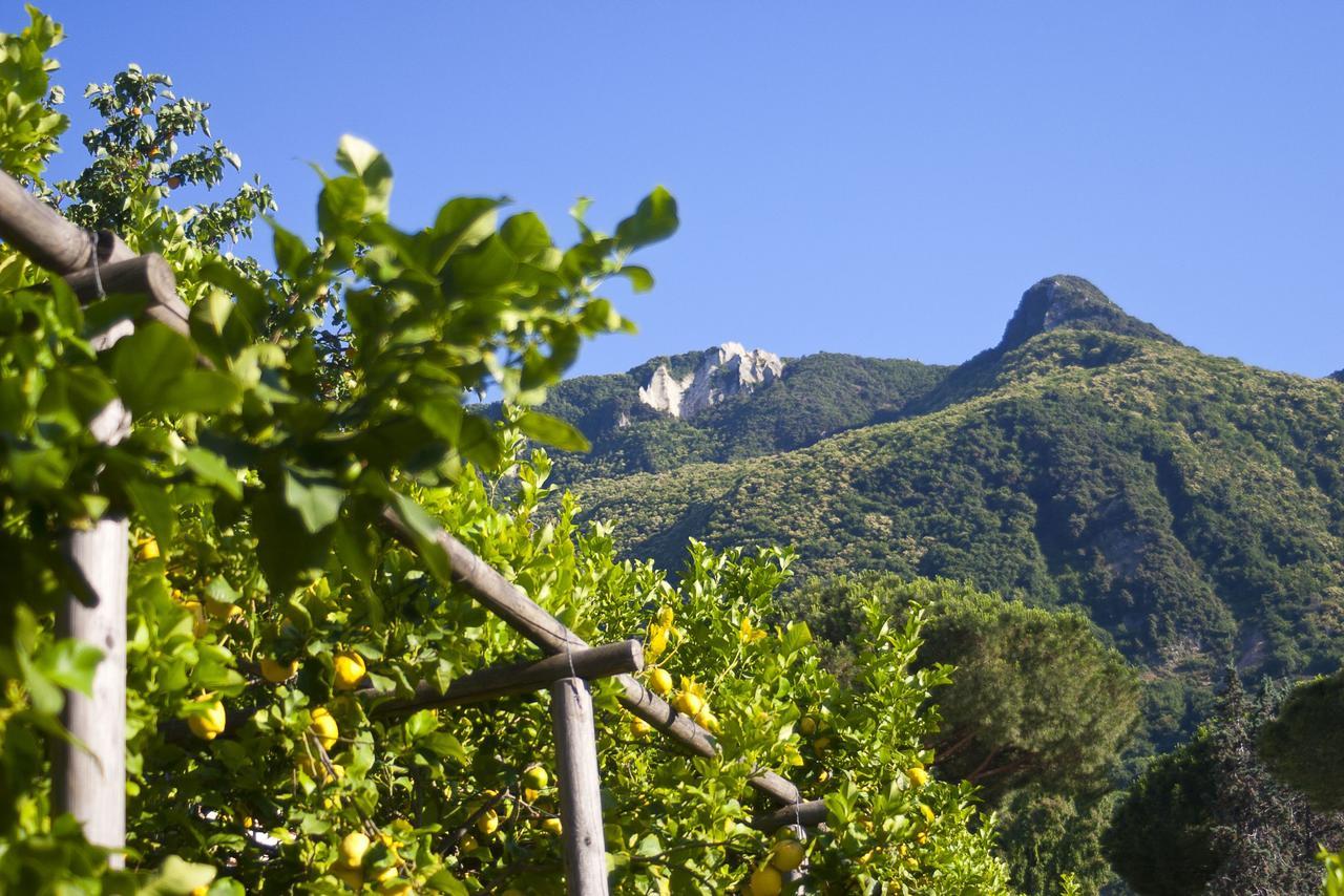 Resort Villa Flavio Casamicciola Terme Eksteriør bilde