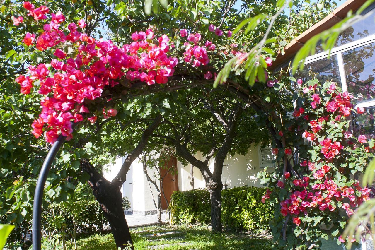 Resort Villa Flavio Casamicciola Terme Eksteriør bilde